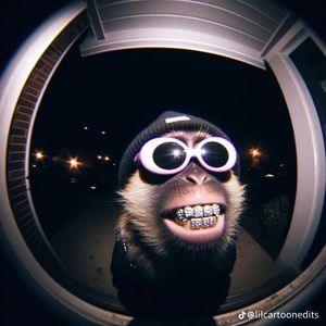 Meet your Posher, Hamm